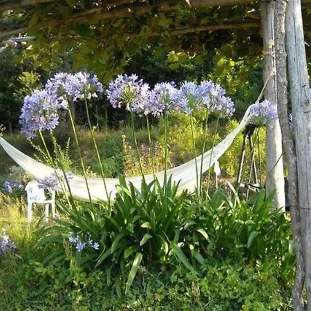 Woodland Escape With Pool