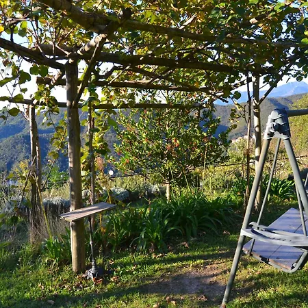 Дом отдыха Woodland Escape With Pool *