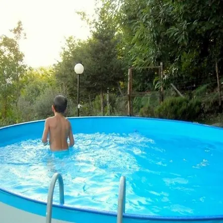 Woodland Escape With Pool Vakantiehuis *