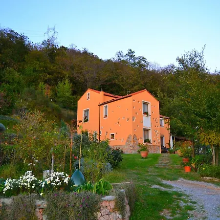 Vakantiehuis Woodland Escape With Pool Carbuta