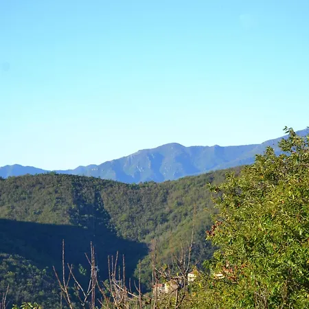 Woodland Escape With Pool Casa vacanze *