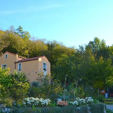 Woodland Escape With Pool Carbuta