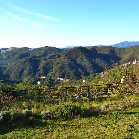 Woodland Escape With Pool Casa vacanze Carbuta