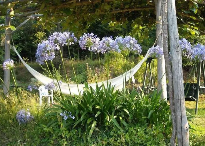 Woodland Escape With Pool