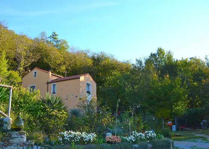 Woodland Escape With Pool Carbuta
